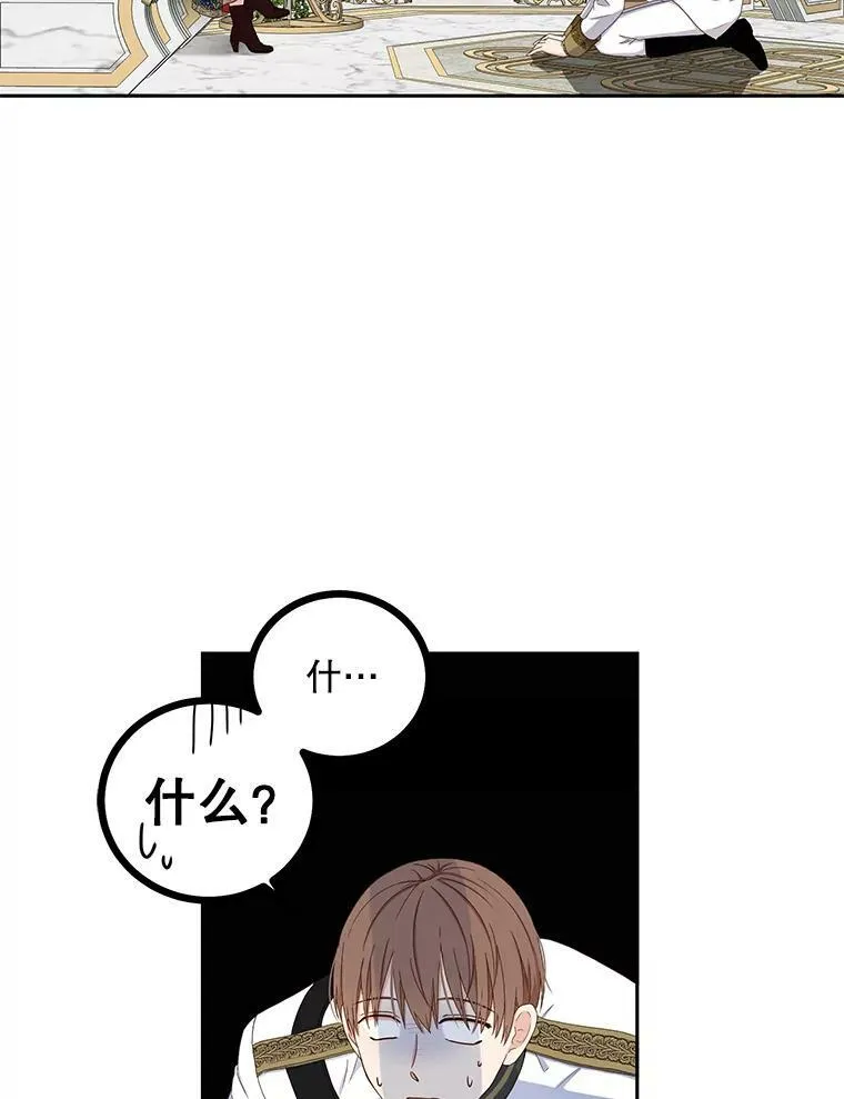 45.帝国之剑 第12页