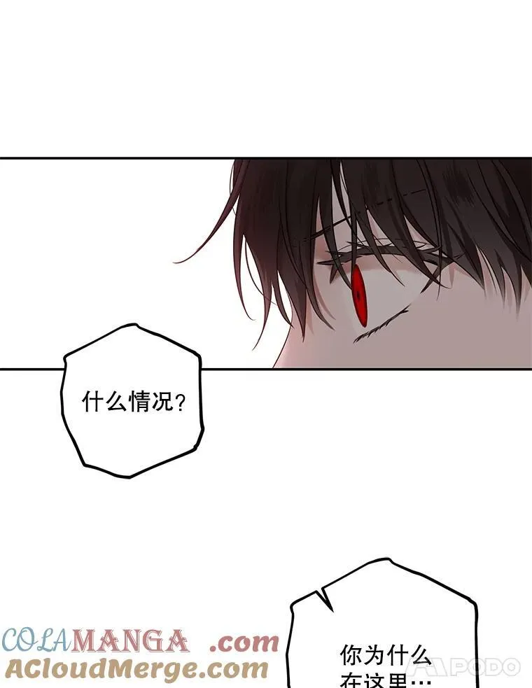 106.尽在计划之中 第21页