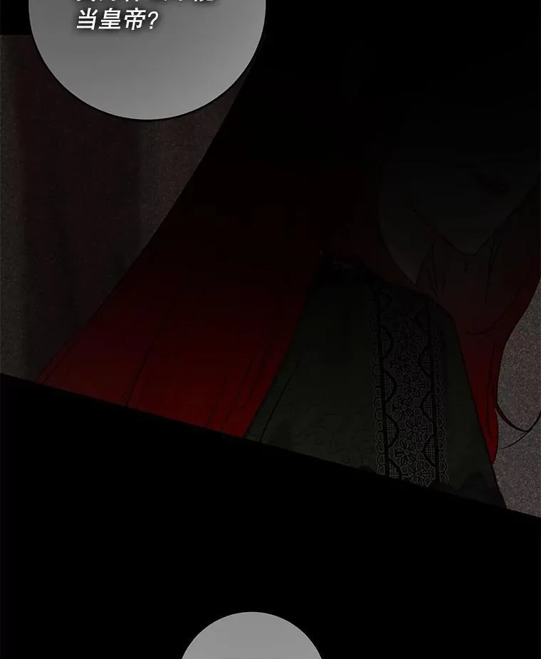 107.留在帝国 第66页