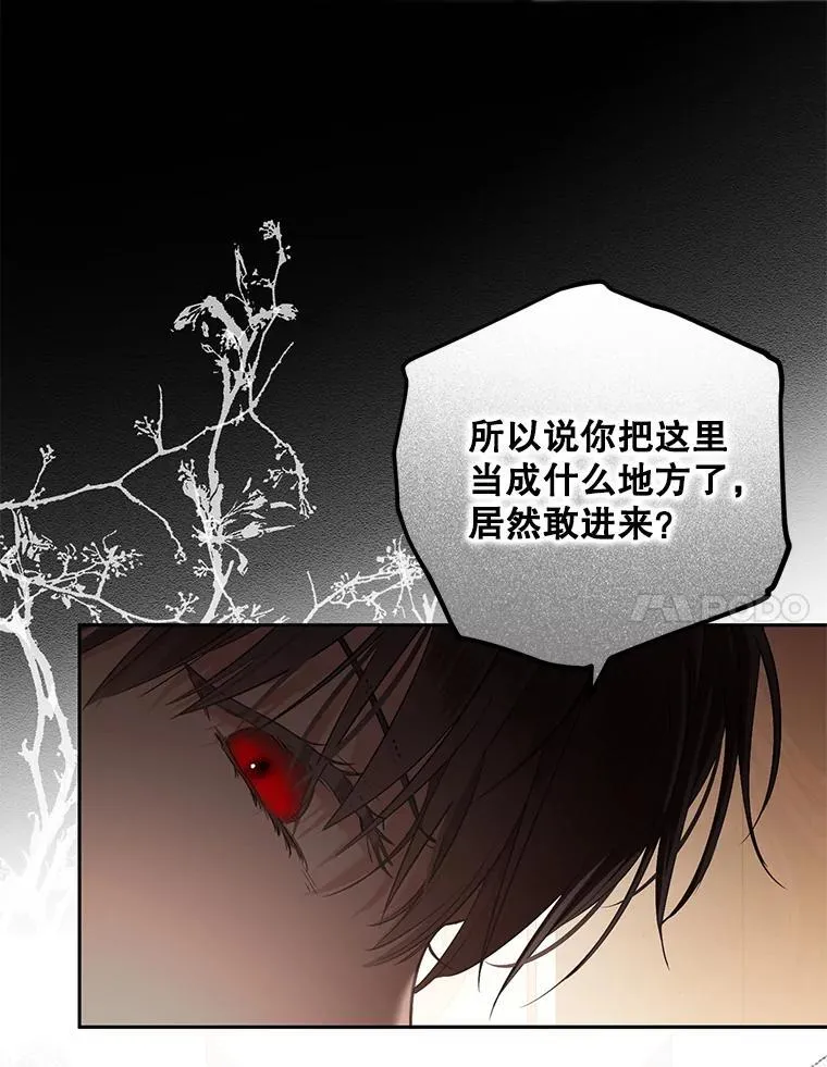 108.做出选择 第38页