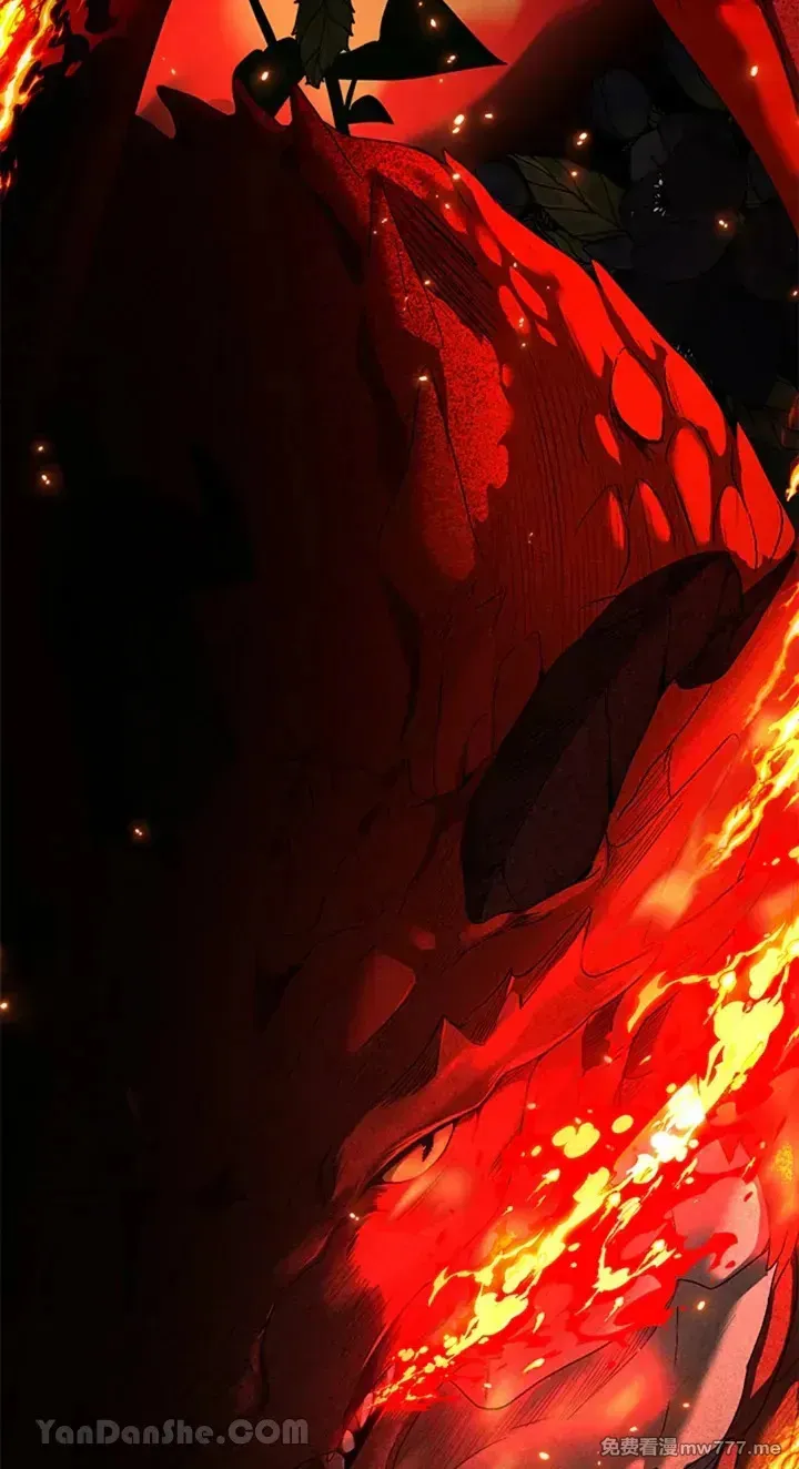 第113话 第13页