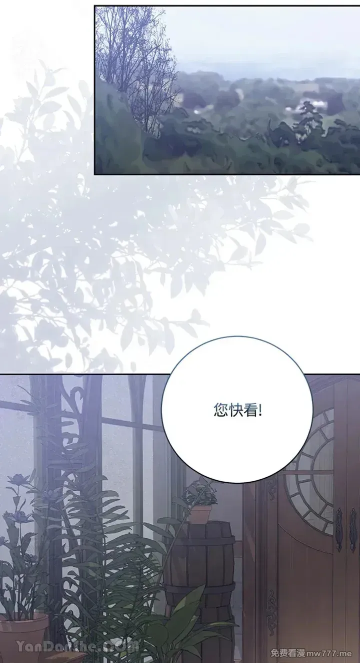 第114话 第62页