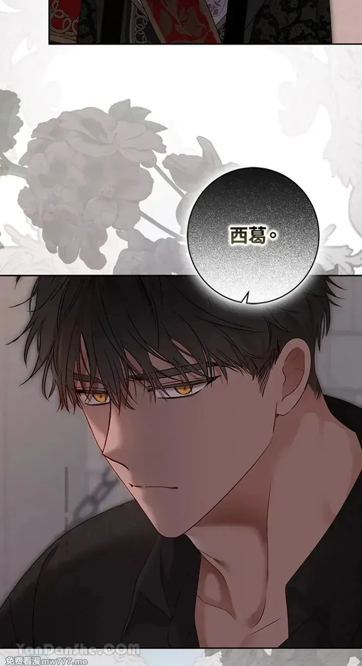 第115话 第62页