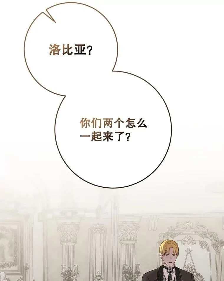 125.测试魔力 第17页