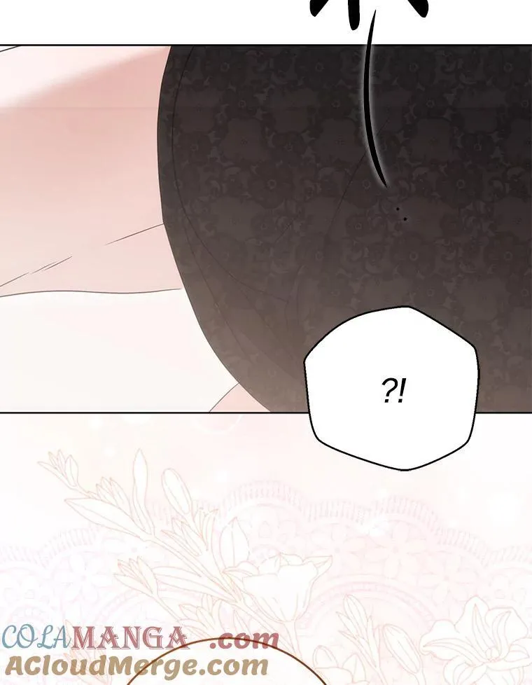 126.结盟邀请 第29页