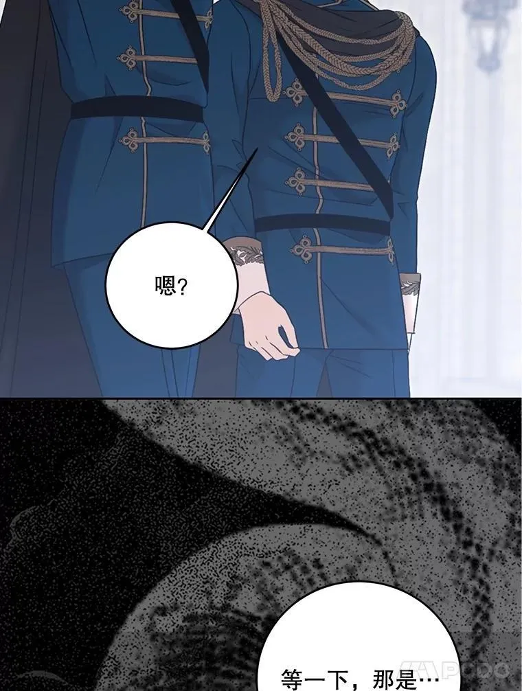 126.结盟邀请 第56页