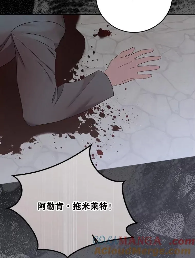 126.结盟邀请 第57页