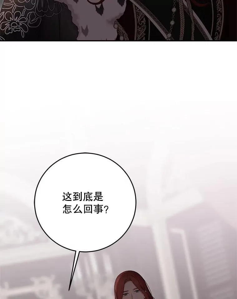 131.皇后去世 第95页