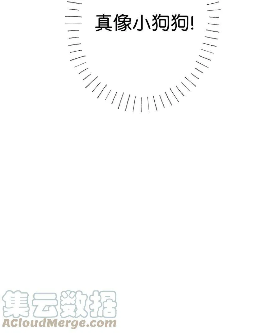 68 真像小狗狗 第25页