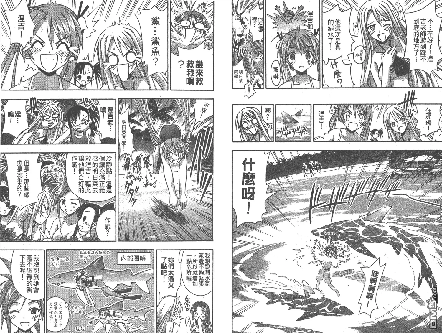 第7卷 第81页