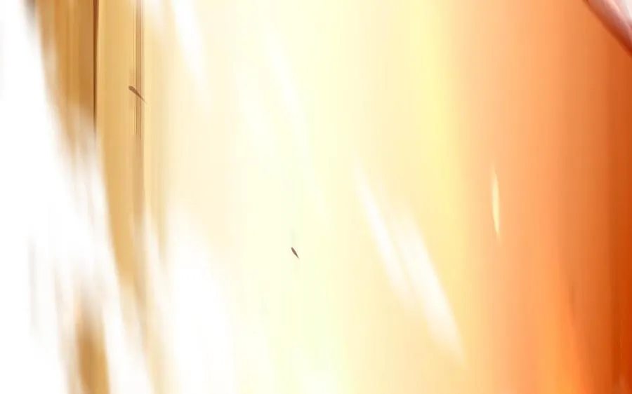 第114话 所愿 第28页