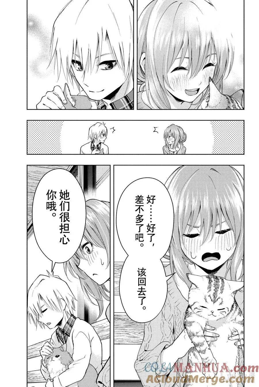 4 晚霞的猫 第17页
