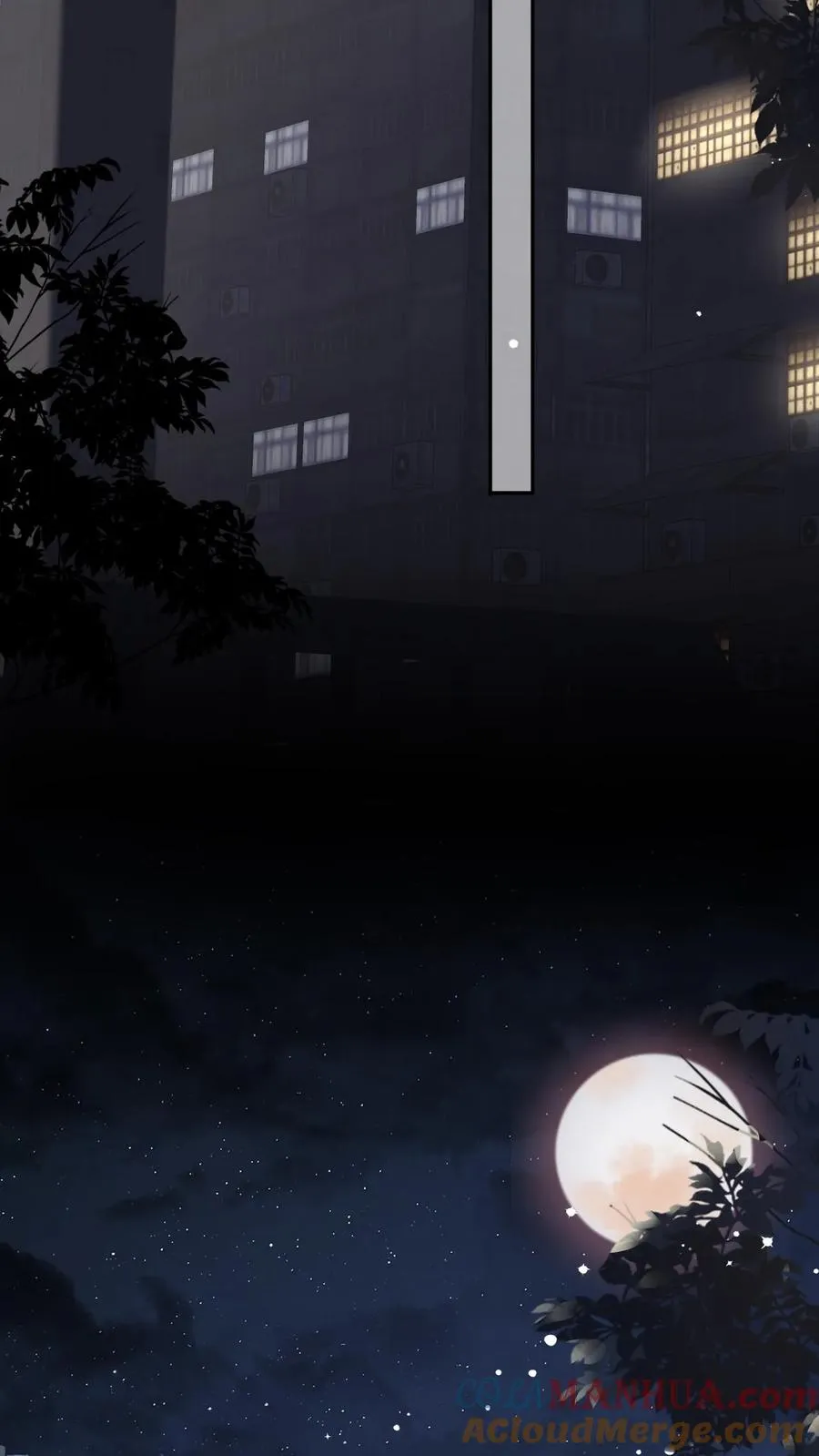 第16话 铁树开花 第11页