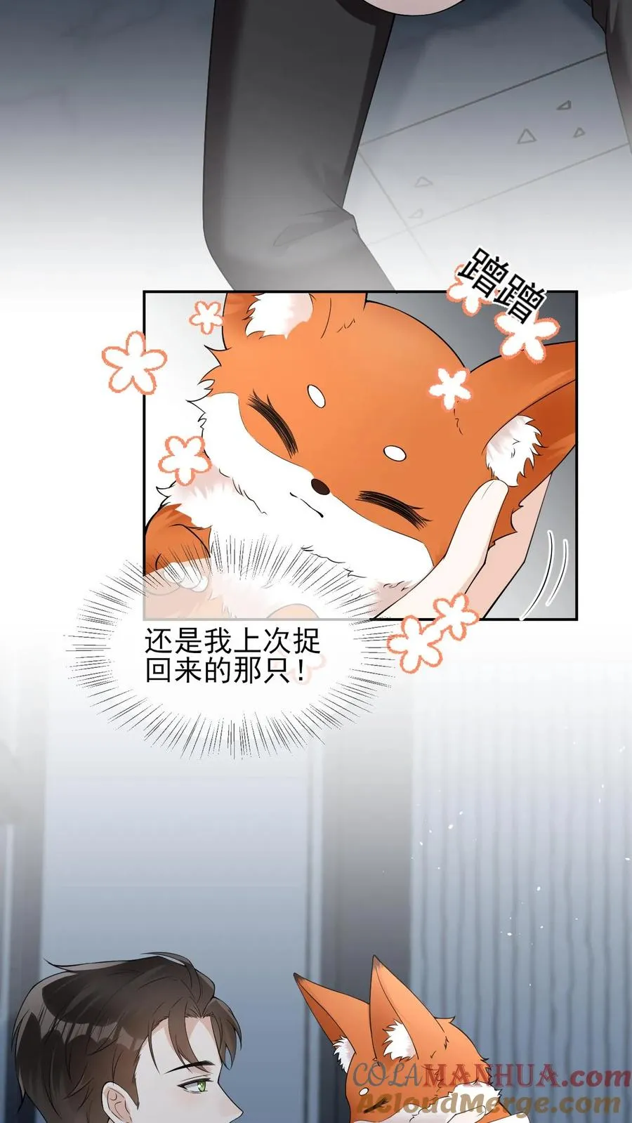 第88话 上次的小狐狸 第17页