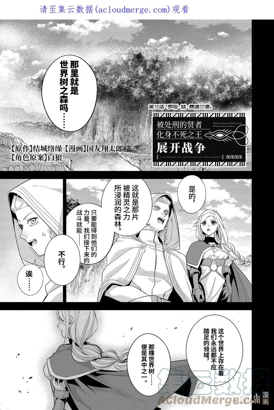 15-1 罗刚·林·费提尔德 第1页