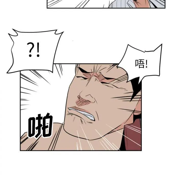 1 第41页