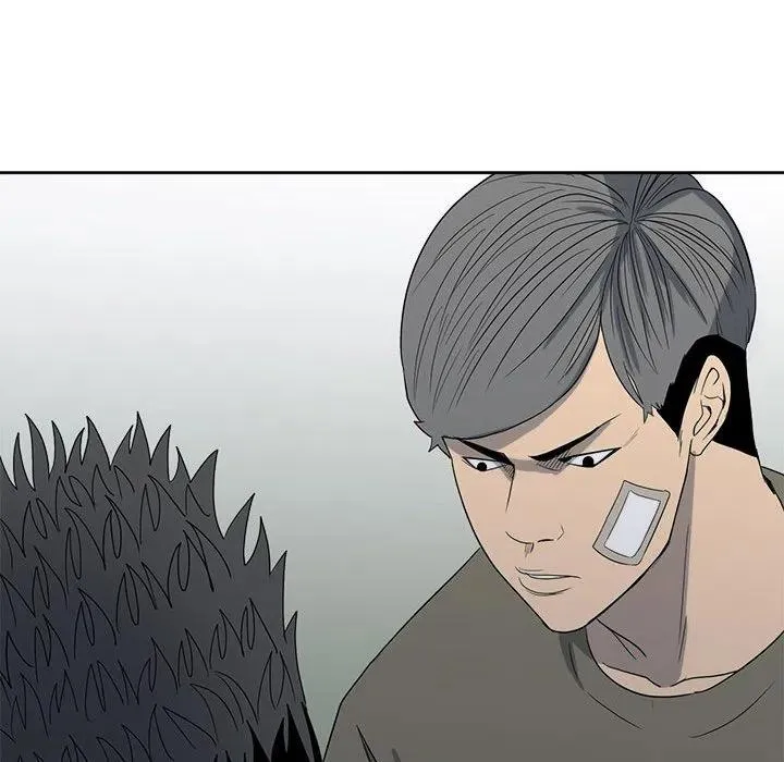 20 第43页