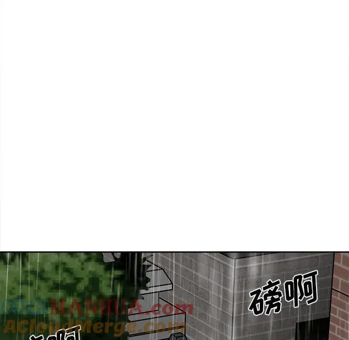 41 第61页