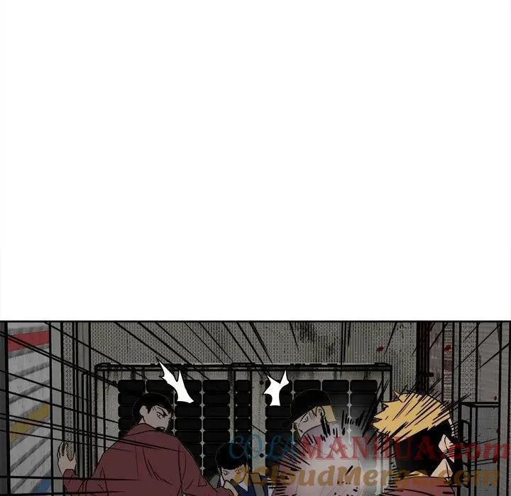 43 第49页