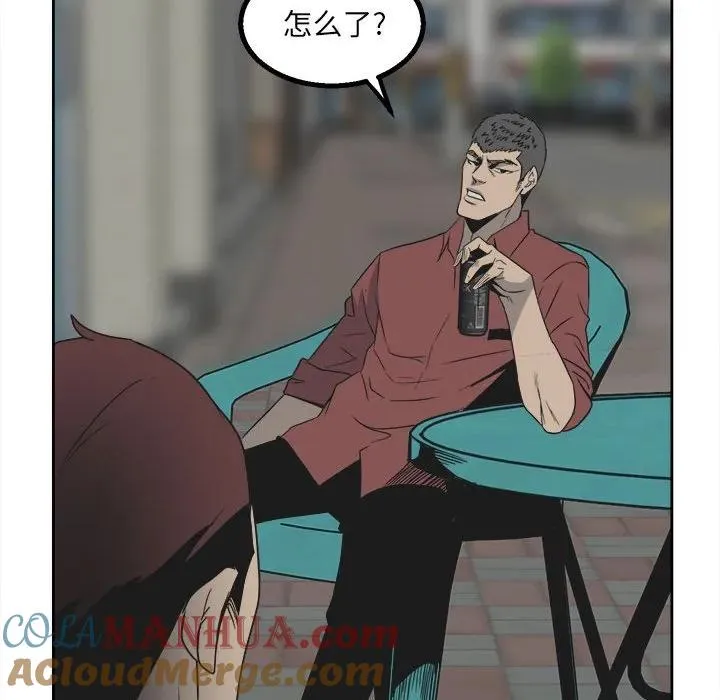 43 第109页