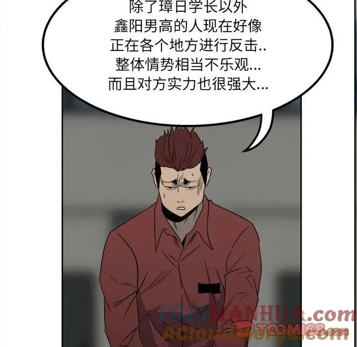 43 第117页