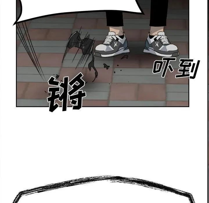 43 第119页
