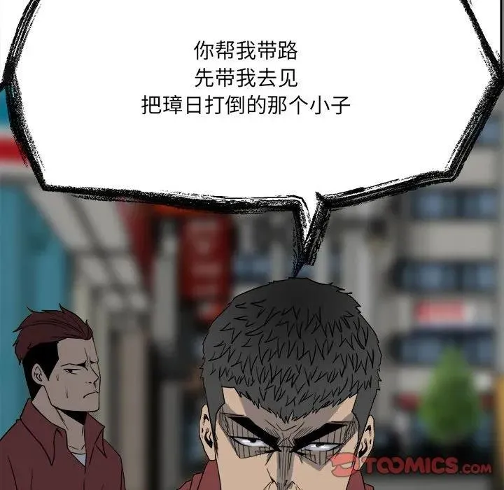 43 第120页