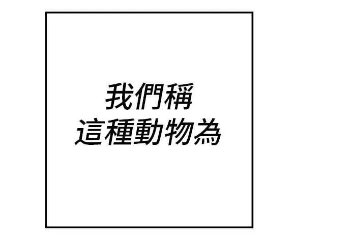 第26话 那我们就来看看吧 第162页
