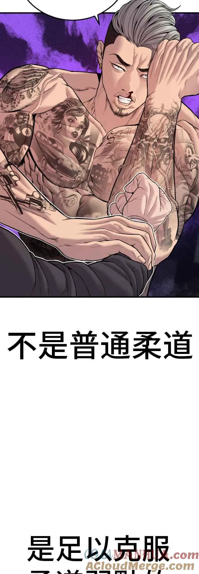 第116话 第1代表结尾+第2代表开局 第31页