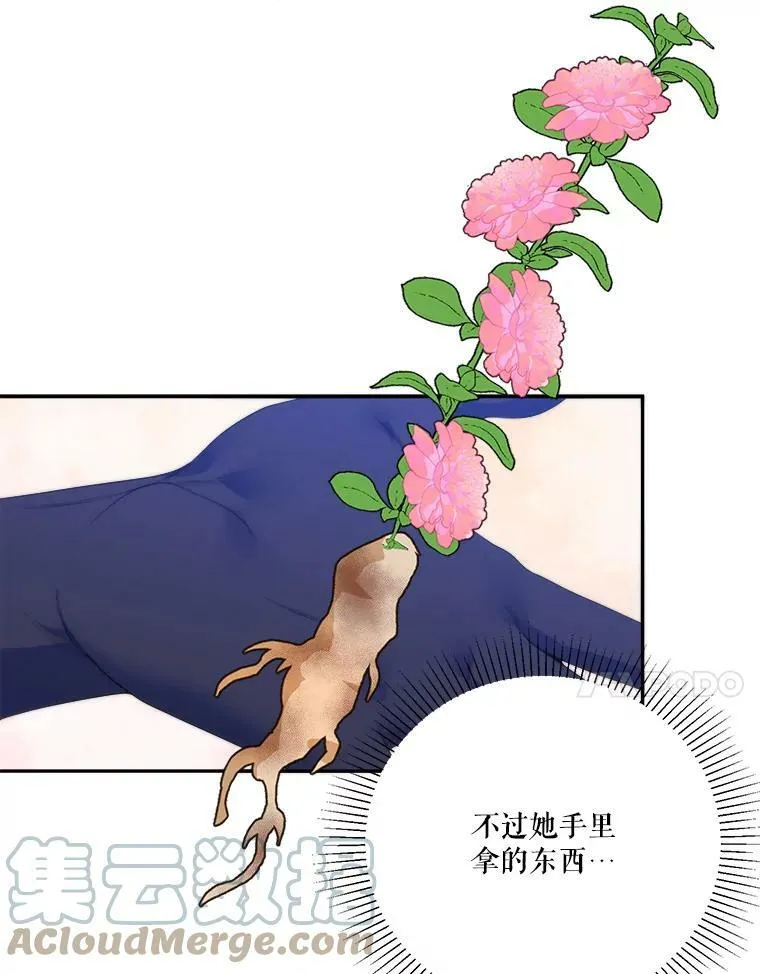 49.皇帝的礼物 第41页