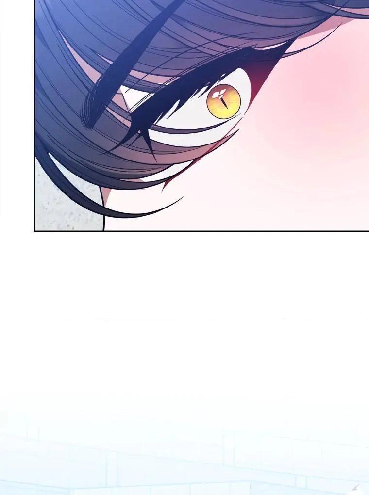 67.黑网 第6页