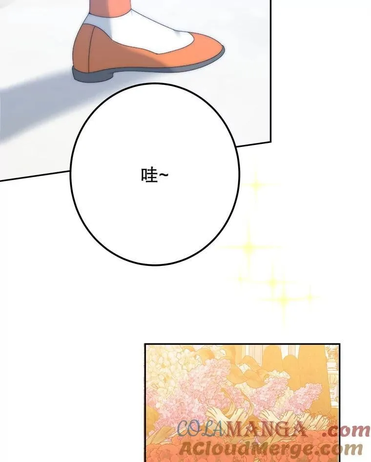 115.处置方案 第9页