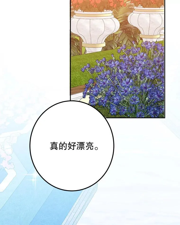 115.处置方案 第10页