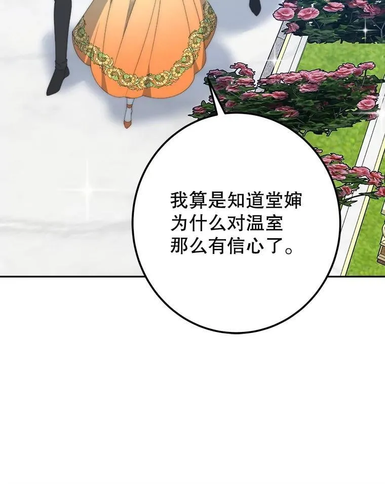 115.处置方案 第12页