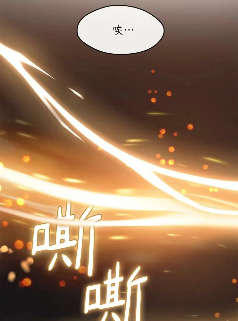 47.保护 第104页