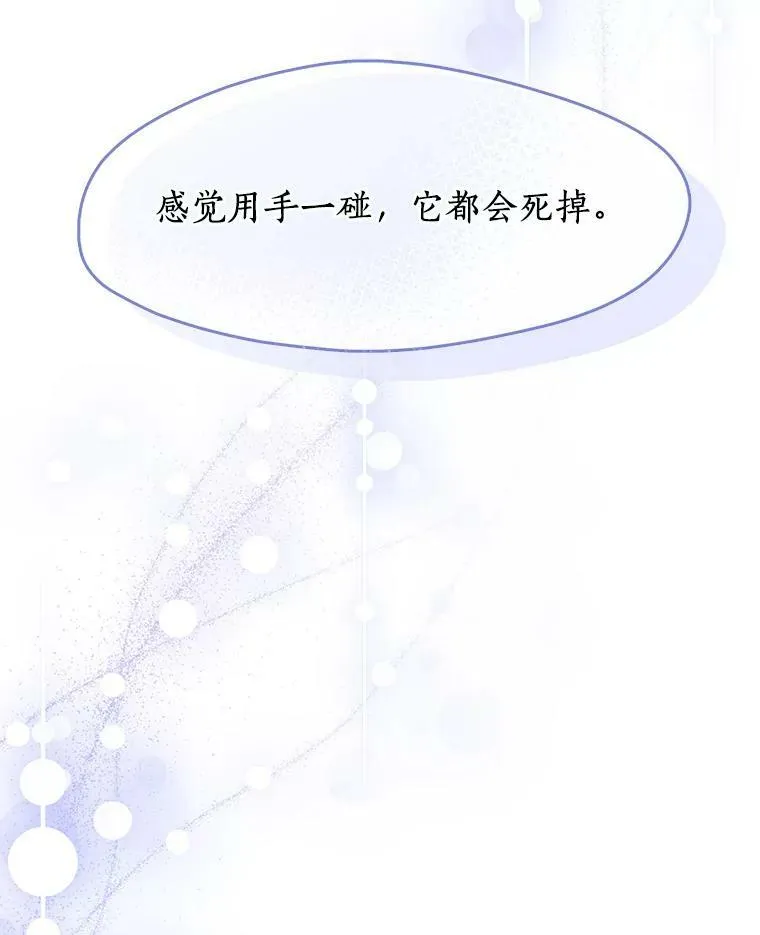 48.出门 第91页
