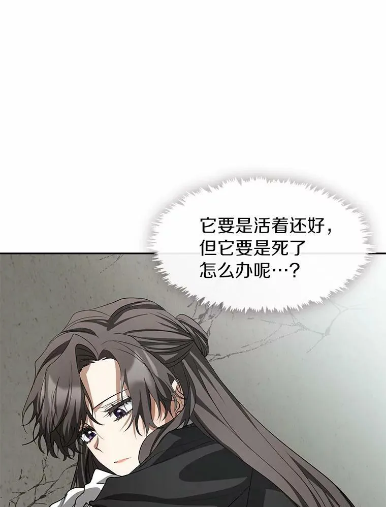 57.第一只小宠物 第51页