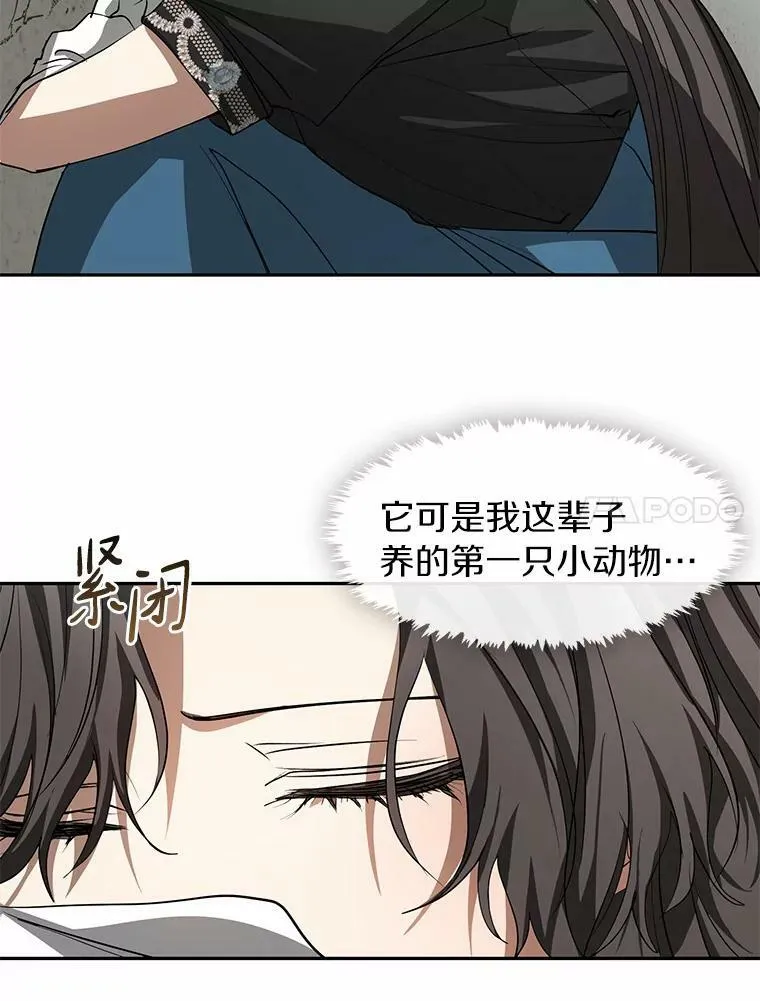 57.第一只小宠物 第52页