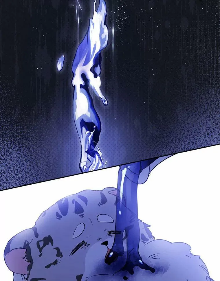 57.第一只小宠物 第64页