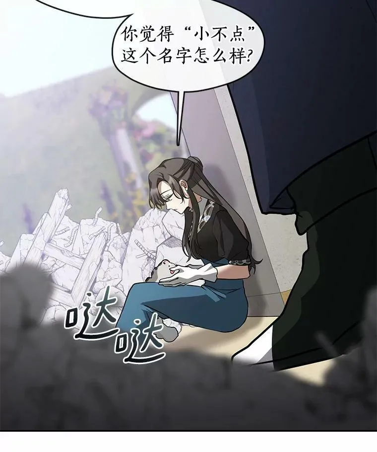 57.第一只小宠物 第88页