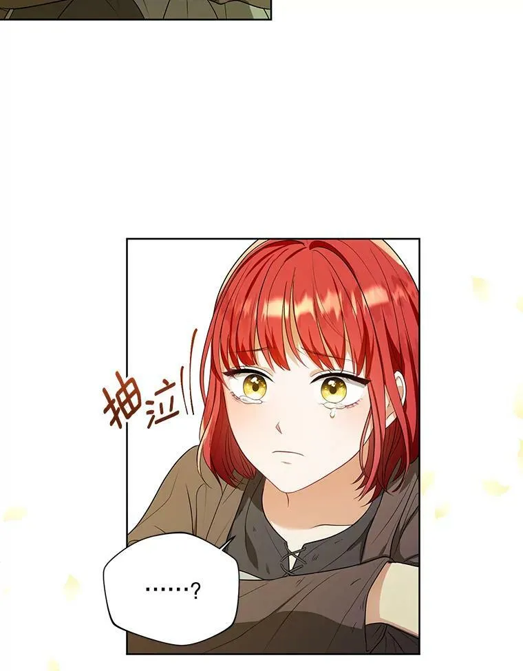 4.信物 第65页