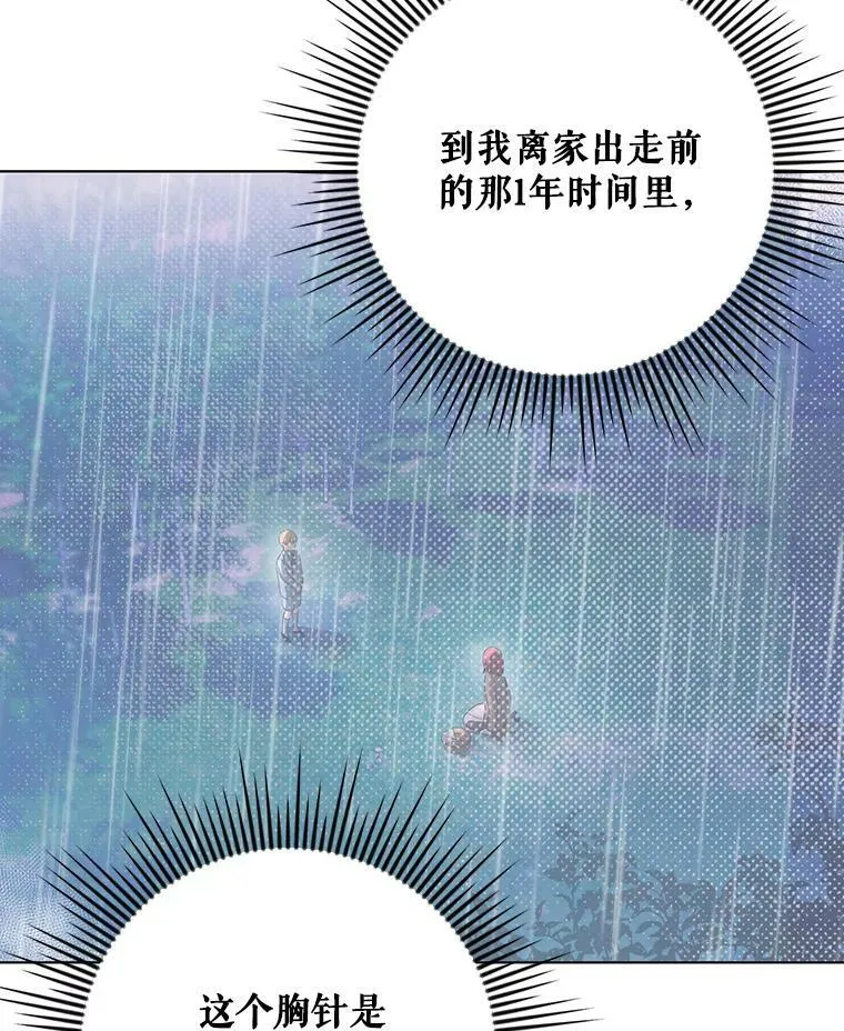 21.归还胸针 第26页