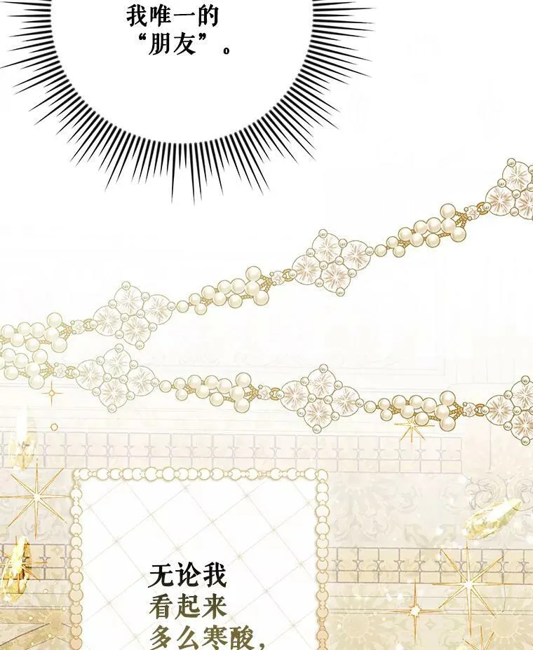 21.归还胸针 第27页