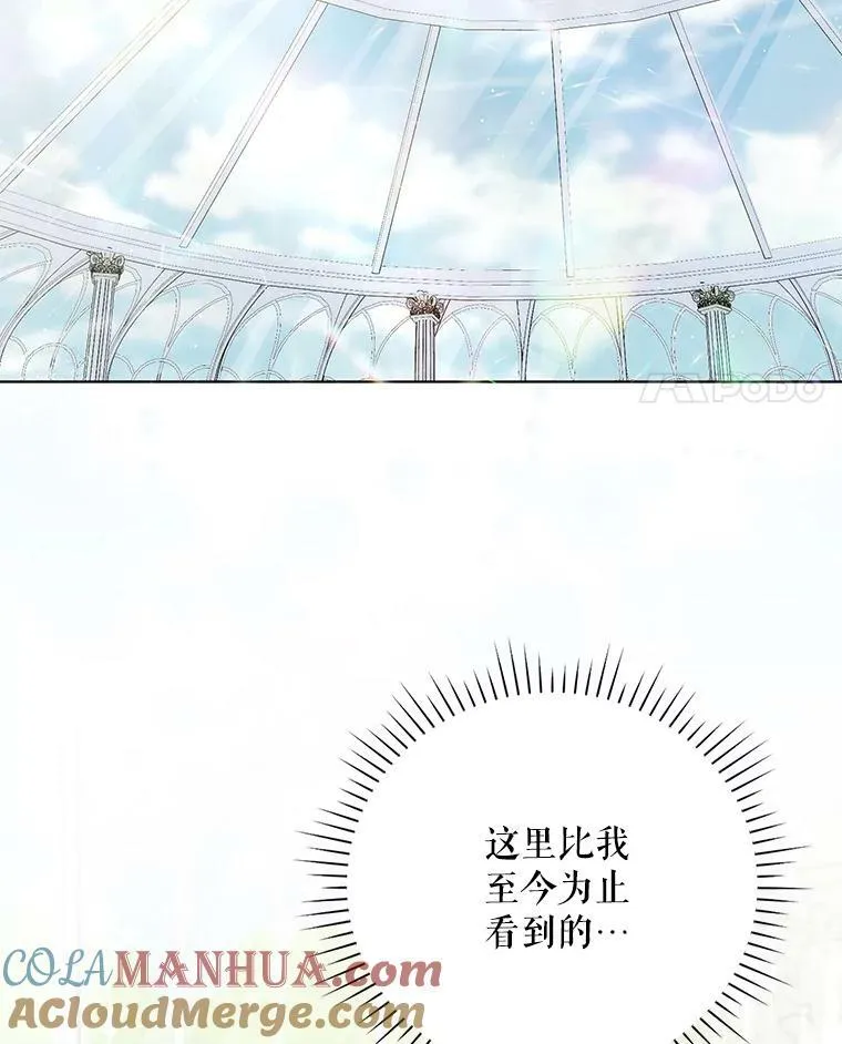 29.温暖的水 第43页