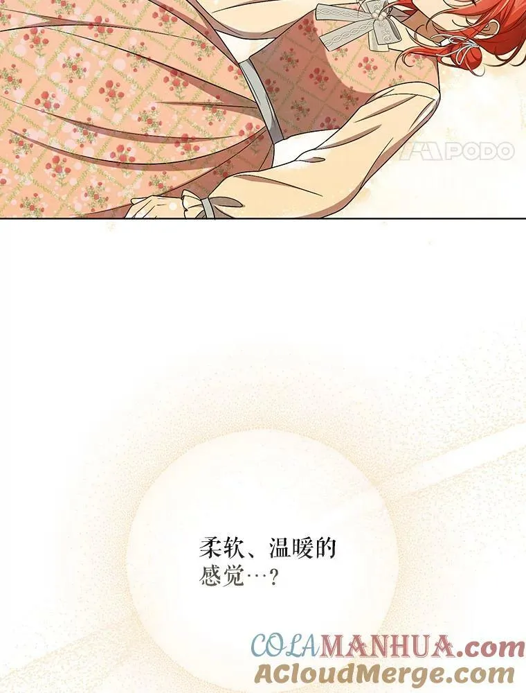 30.净化 第4页