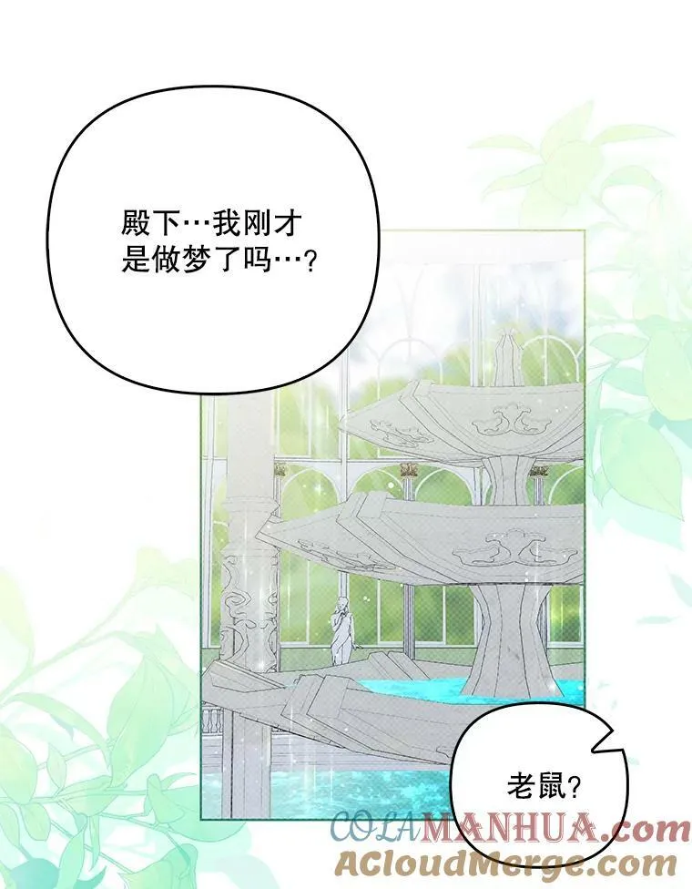 30.净化 第13页
