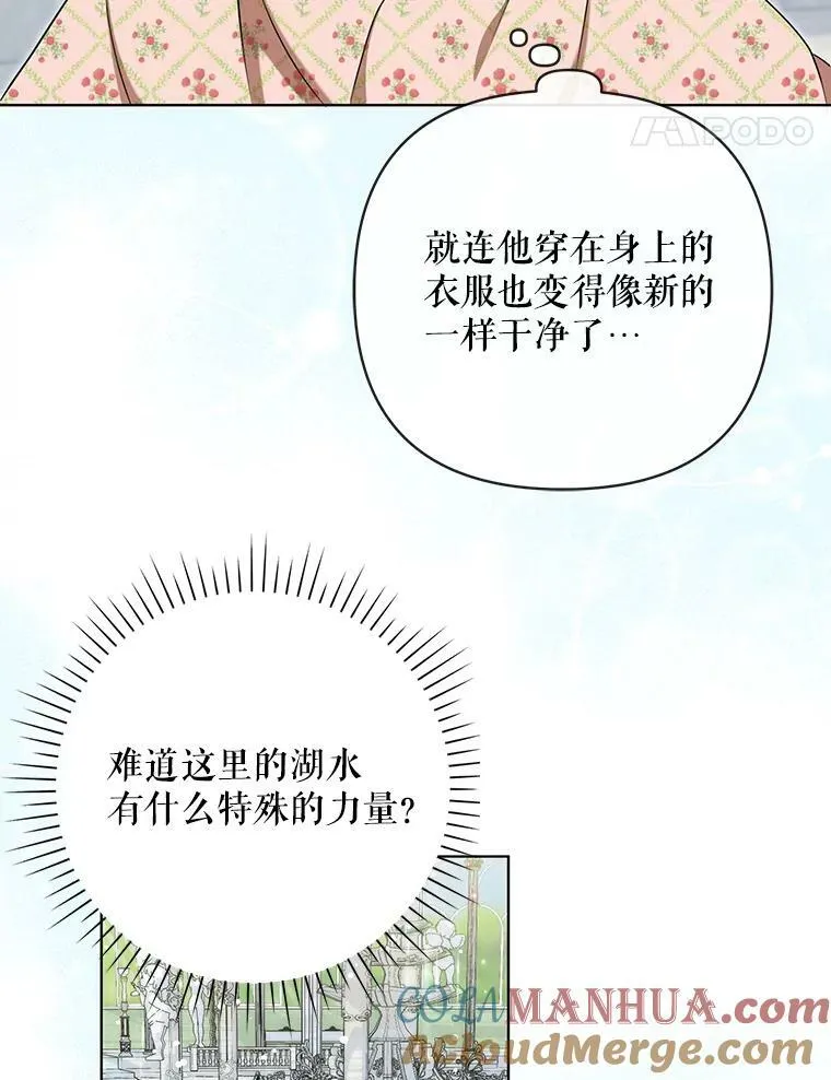 30.净化 第28页