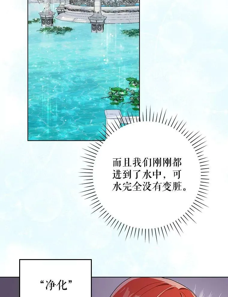 30.净化 第29页