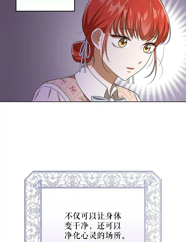 30.净化 第30页