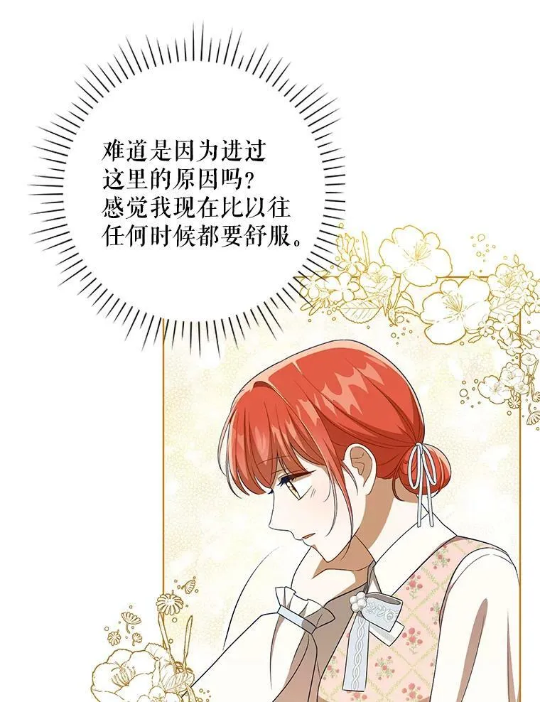 30.净化 第33页